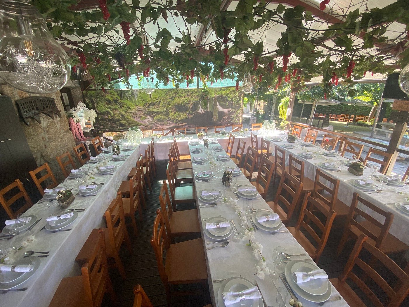 Sala de banquetes — A parreira que cobre o tecto